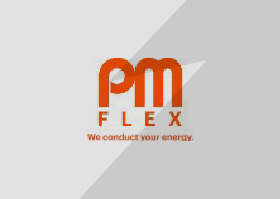 logotype de l'entreprise PMFlex
